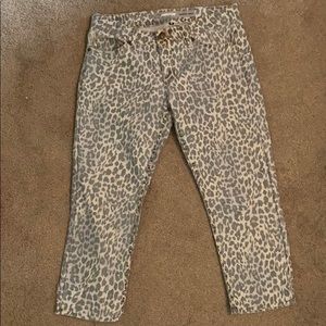 Jordache skinny cropped cheetah ankle length jeans